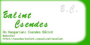 balint csendes business card