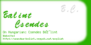 balint csendes business card